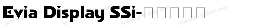 Evia Display SSi字体转换